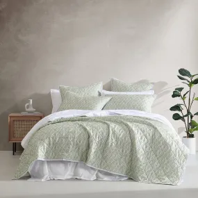 Shelby Sage Coverlet Set by Logan and Mason